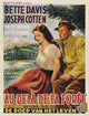 Beyond the Forest Movie Poster Print showcasing enchanting adventure.