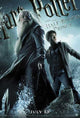 Harry Potter and the Half-Blood Prince Movie Poster Print featuring vibrant artwork.