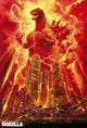 Godzilla, King of the Monsters Movie Poster Print (27x40)