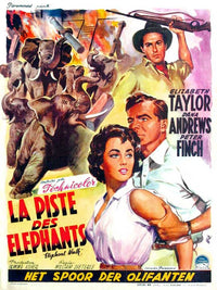 Elephant Walk Movie Poster Print showcasing vibrant cinematic art