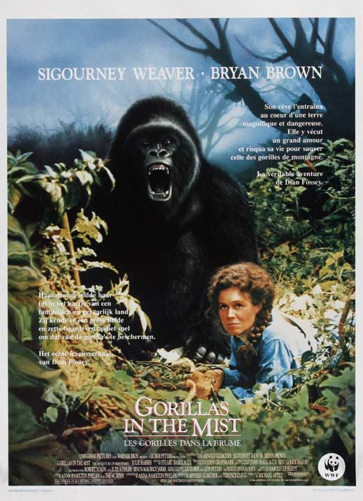 Gorillas in the Mist Movie Poster Print showcasing vibrant wildlife imagery.