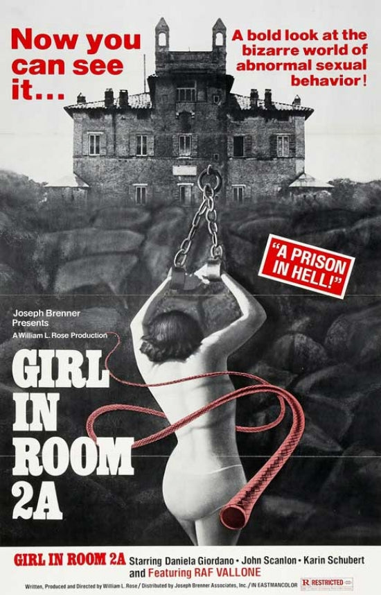 The Girl in 2A movie poster print featuring vibrant imagery.