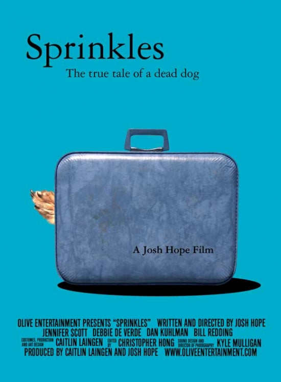 Colorful Sprinkles Movie Poster showcasing vibrant art and fun design.