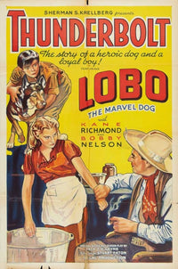 Thunderbolt Movie Poster featuring classic film artwork.