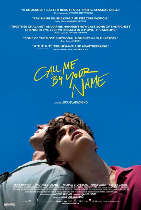 Call Me by Your Name Movie Poster Print - 11x17 Size