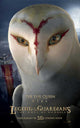 Legend of the Guardians: The Owls of Ga'Hoole Movie Poster Print