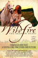Wildfire: The Arabian Heart Movie Poster - vibrant artwork for film lovers