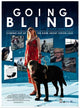 Going Blind Movie Poster Print showcasing vibrant imagery for film enthusiasts.