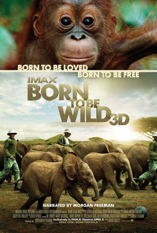 Born to Be Wild Movie Poster Print showcasing adventure and exploration.