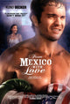 From Mexico with Love Movie Poster - vibrant adventure art