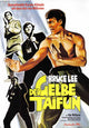 Fury of the Dragon Movie Poster Print showcasing martial arts action.