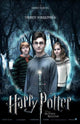 Harry Potter and the Deathly Hallows: Part I Movie Poster Print (11x17)