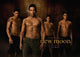 The Twilight Saga: New Moon movie poster print featuring iconic imagery from the film.