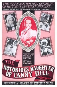 The Notorious Daughter of Fanny Hill Movie Poster Print featuring vibrant colors and cinematic design.