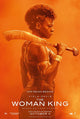 The Woman King Movie Poster Print - 11x17 | Posterazzi