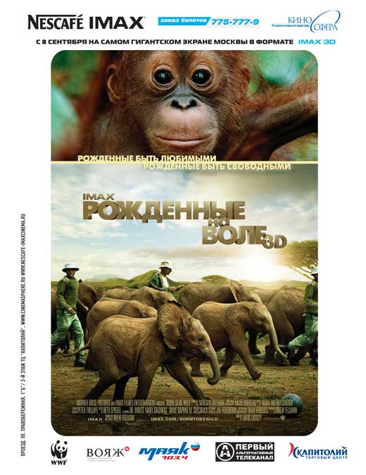 Born to Be Wild Movie Poster Print featuring vibrant imagery.