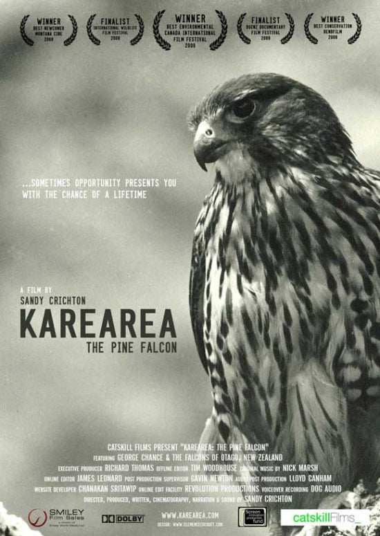 Karearea The Pine Falcon Movie Poster Print showcasing a majestic bird of prey.