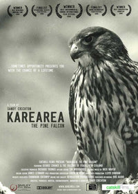 Karearea The Pine Falcon Movie Poster Print showcasing a majestic bird of prey.