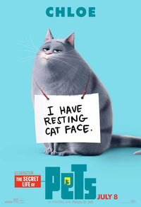 The Secret Life of Pets Movie Poster Print (11x17)