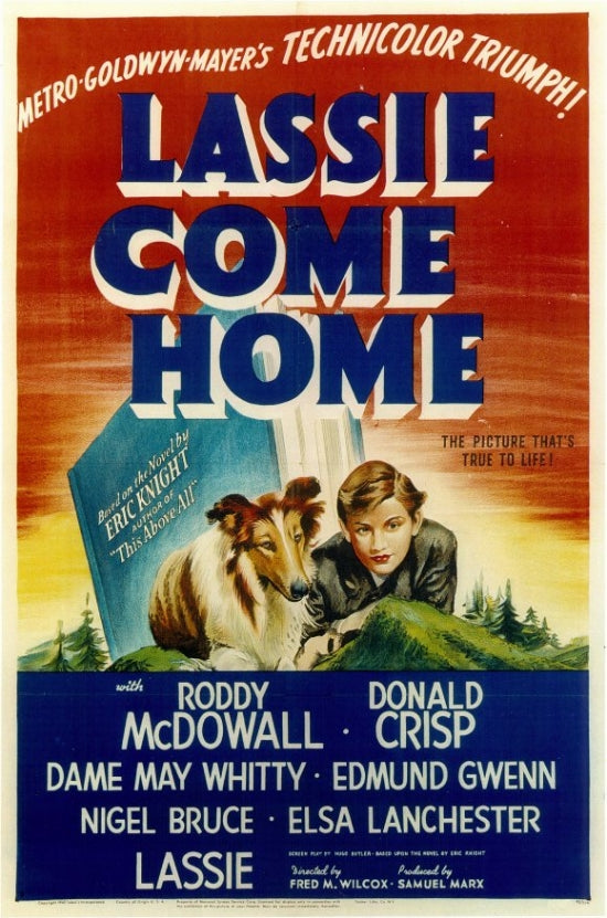 Lassie Come Home Movie Poster showcasing a classic film story.