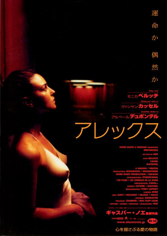 Irreversible Movie Poster Print (11x17) - Pop Culture Graphics