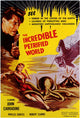 The Incredible Petrified World Movie Poster Print, vintage cinema art