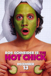 The Hot Chick Movie Poster Print (11 x 17) | Posterazzi