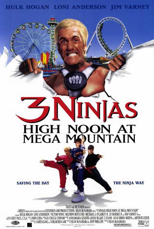 3 Ninjas: High Noon at Mega Mountain Movie Poster Print (11x17)
