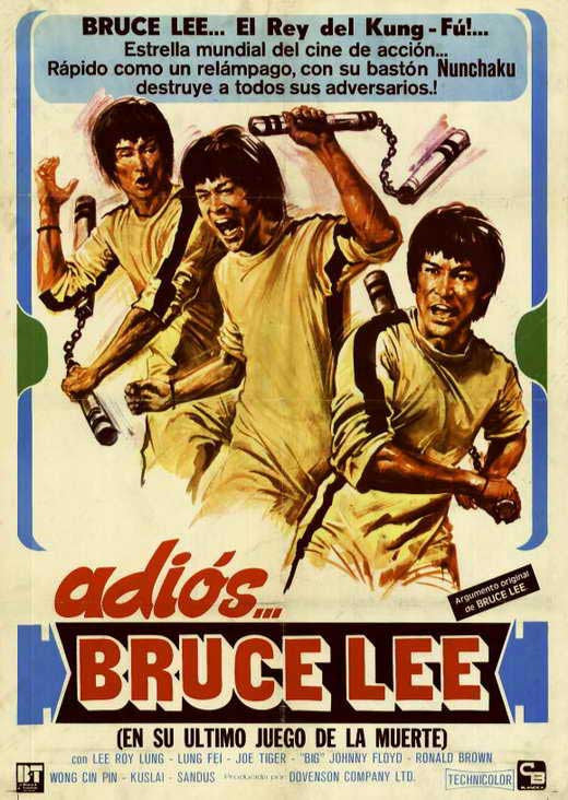 Goodbye Bruce Lee: His Last Game of Death Movie Poster Print (11x17)