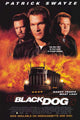 Black Dog Movie Poster Print 11x17 | Pop Culture Graphics