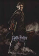 Harry Potter and the Goblet of Fire Movie Poster Print featuring vibrant colors and detailed design.