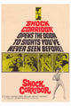 Shock Corridor Movie Poster Print showcasing classic film art.