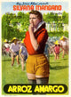 Bitter Rice Movie Poster Print showcasing vibrant colors and classic film imagery.