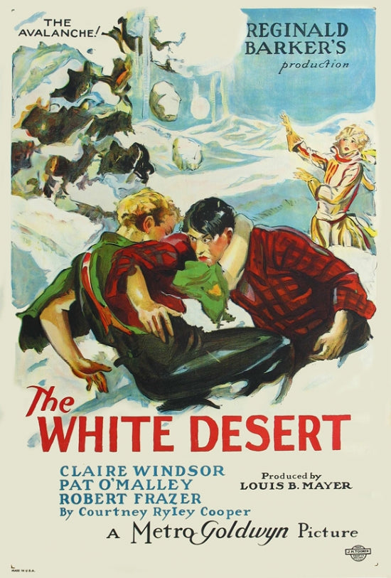 The White Desert Movie Poster Print showcasing captivating film imagery.