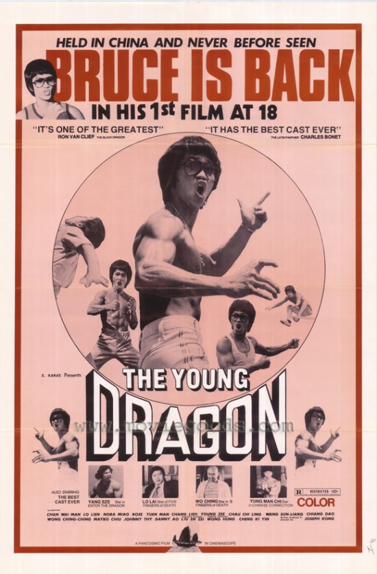 The Young Dragon Movie Poster showcasing vibrant fantasy artwork.