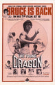 The Young Dragon Movie Poster showcasing vibrant fantasy artwork.