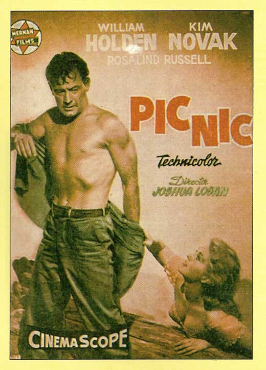 Picnic Movie Poster Print showcasing classic film artwork