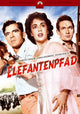 Elephant Walk Movie Poster Print showcasing classic film imagery.