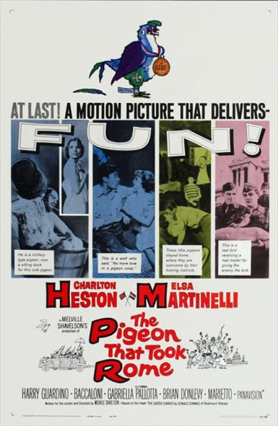 The Pigeon That Took Rome movie poster print featuring vibrant artwork.
