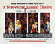 A Streetcar Named Desire Movie Poster Print (11x17)