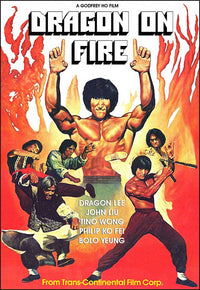 Dragon the Hero Movie Poster Print featuring vibrant artwork.