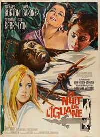 The Night of the Iguana Movie Poster Print showcasing classic film art.