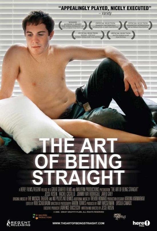 The Art of Being Straight Movie Poster Print featuring vibrant colors and engaging design.