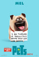 The Secret Life of Pets Movie Poster Print featuring colorful animated characters.