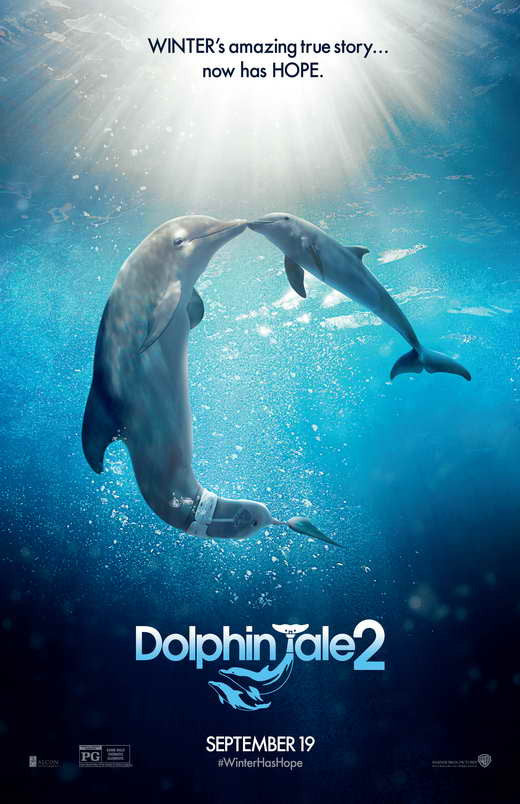 Dolphin Tale 2 Movie Poster Print 11x17