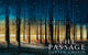 The Passage Movie Poster Print showcasing vibrant artwork.