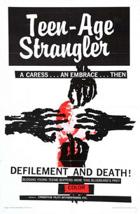 Terror in the Night movie poster print showcasing suspenseful imagery.