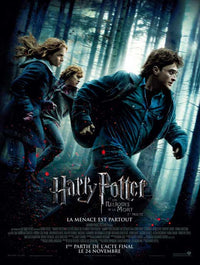 Harry Potter and the Deathly Hallows Part I Movie Poster Print
