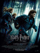 Harry Potter and the Deathly Hallows Part I Movie Poster Print