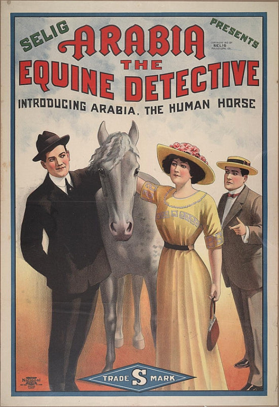Arabia The Equine Detective Movie Poster Print featuring cinematic adventure.